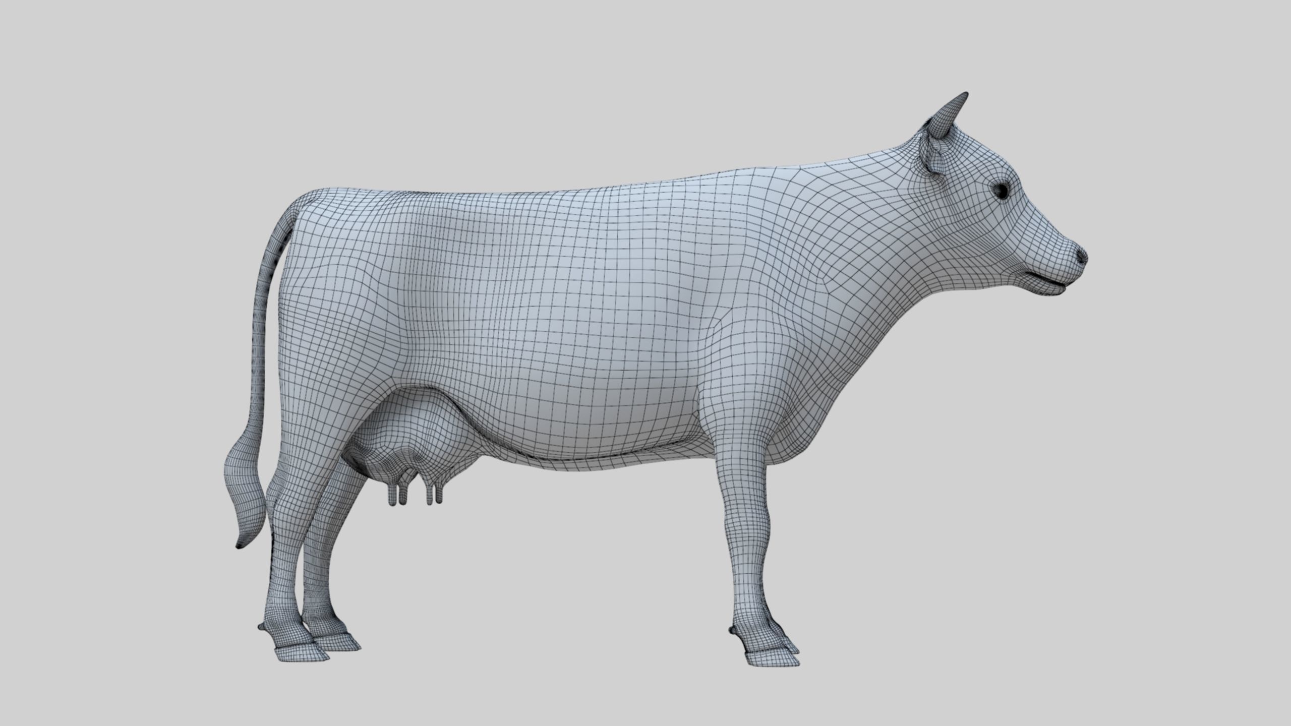 3D model Low Poly Holstein Cow Unwapped 4K Low-poly 3D model_19