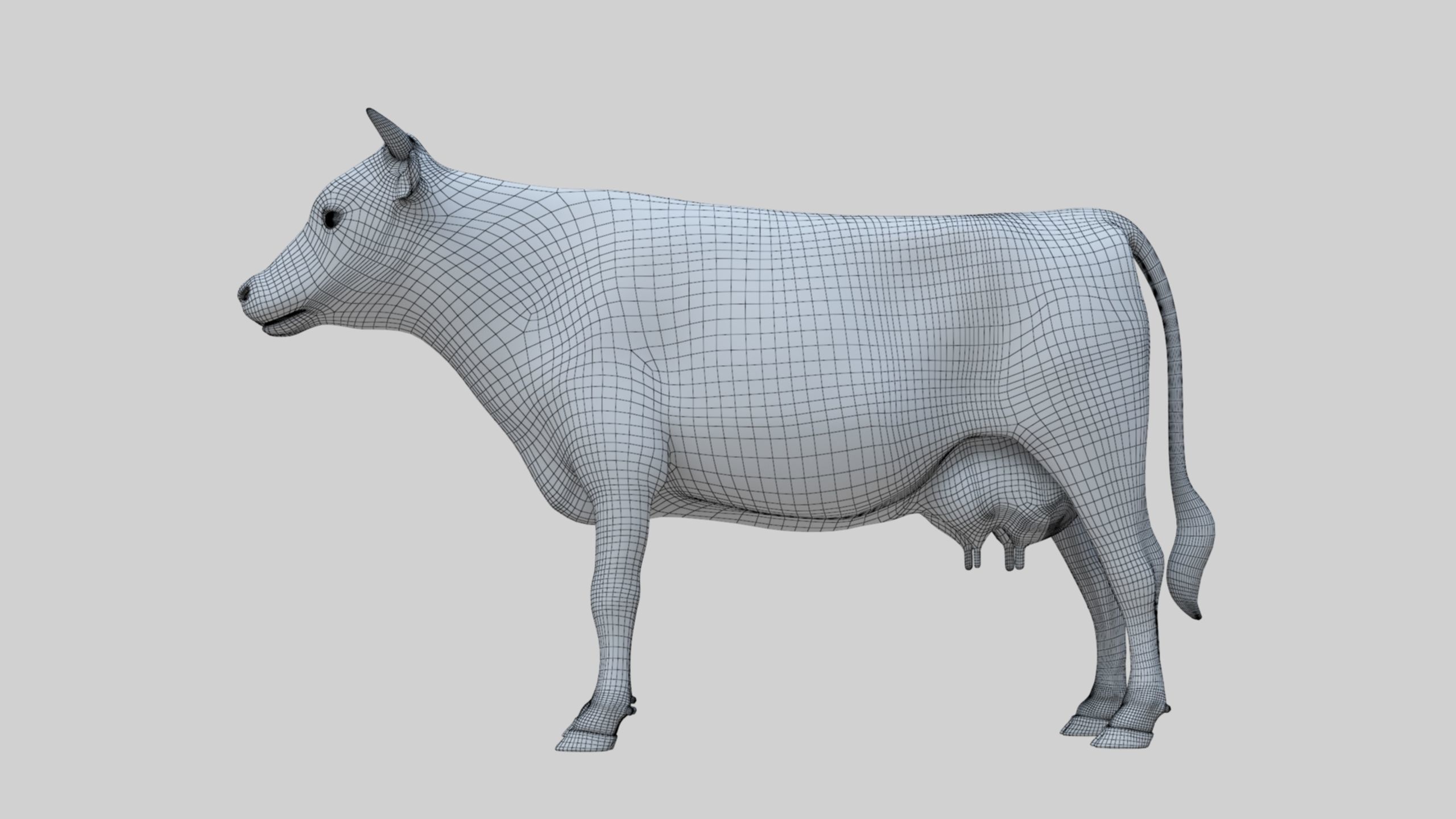 3D model Low Poly Holstein Cow Unwapped 4K Low-poly 3D model_85