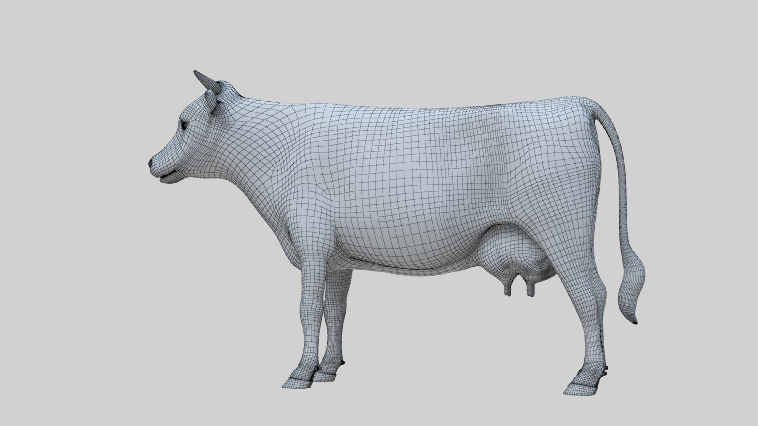 3D model Low Poly Holstein Cow Unwapped 4K Low-poly 3D model_16