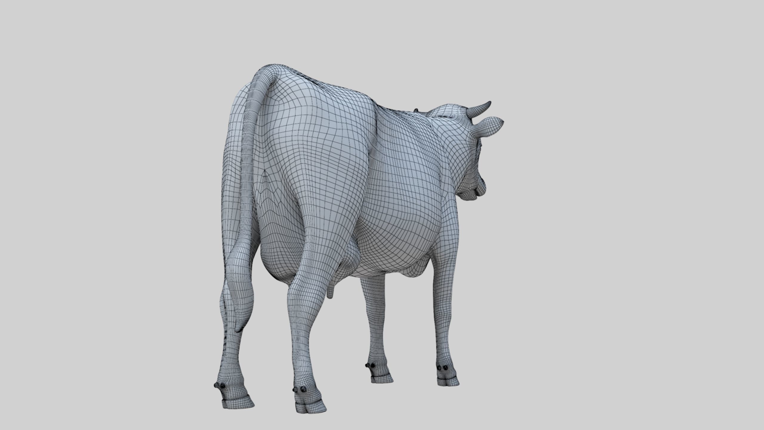 3D model Low Poly Holstein Cow Unwapped 4K Low-poly 3D model_93