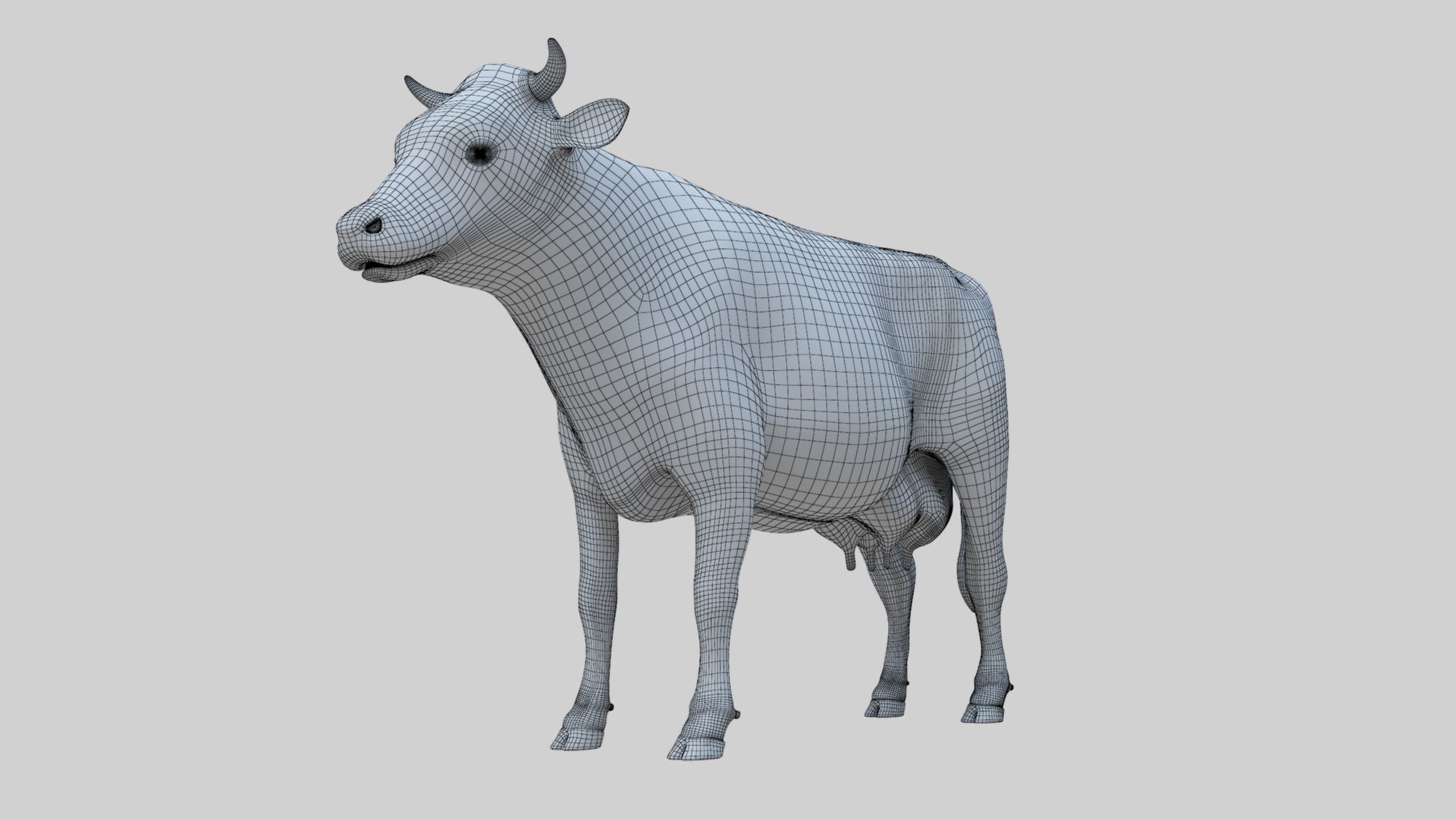 3D model Low Poly Holstein Cow Unwapped 4K Low-poly 3D model_79