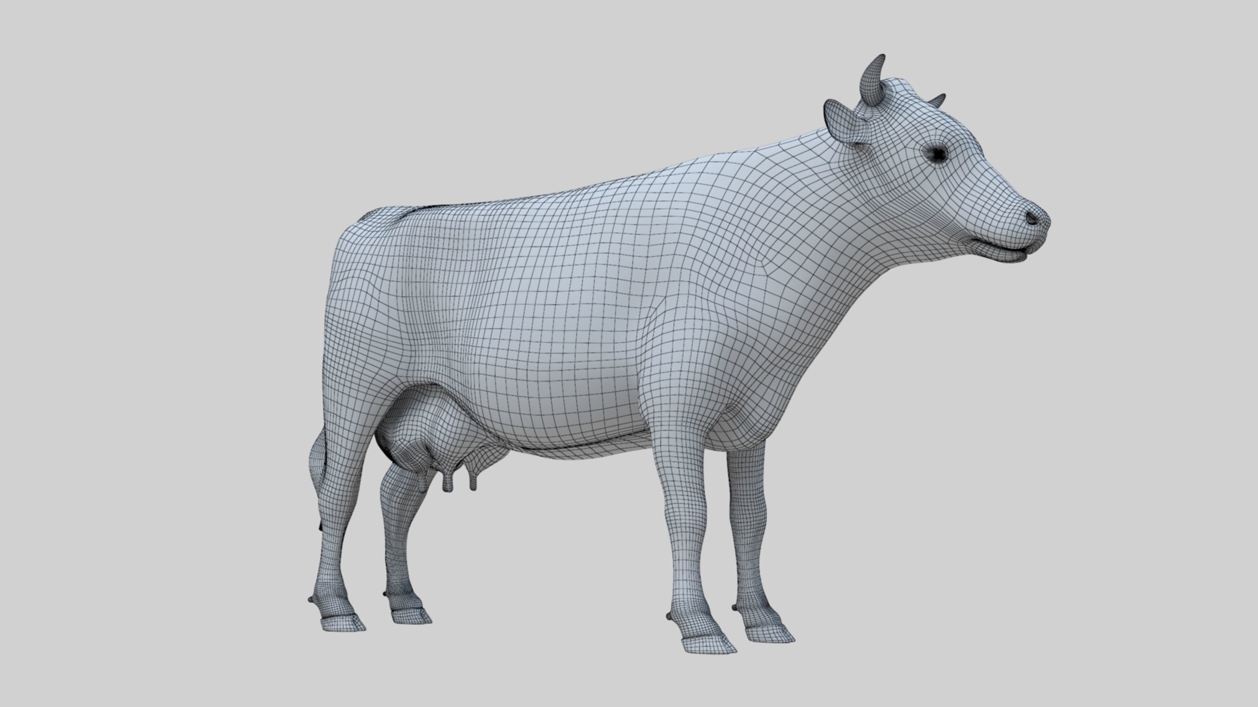 3D model Low Poly Holstein Cow Unwapped 4K Low-poly 3D model_71