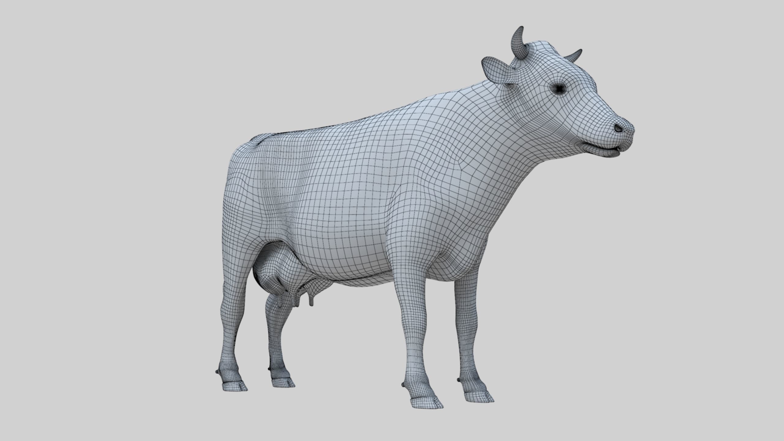 3D model Low Poly Holstein Cow Unwapped 4K Low-poly 3D model_13