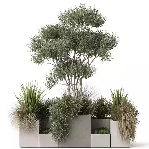 Plants collection 780 3D model