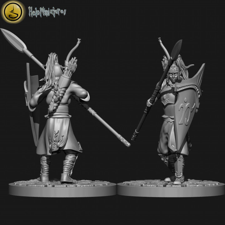 Highborn elves spearmen and sea guard unit 3D print model_4