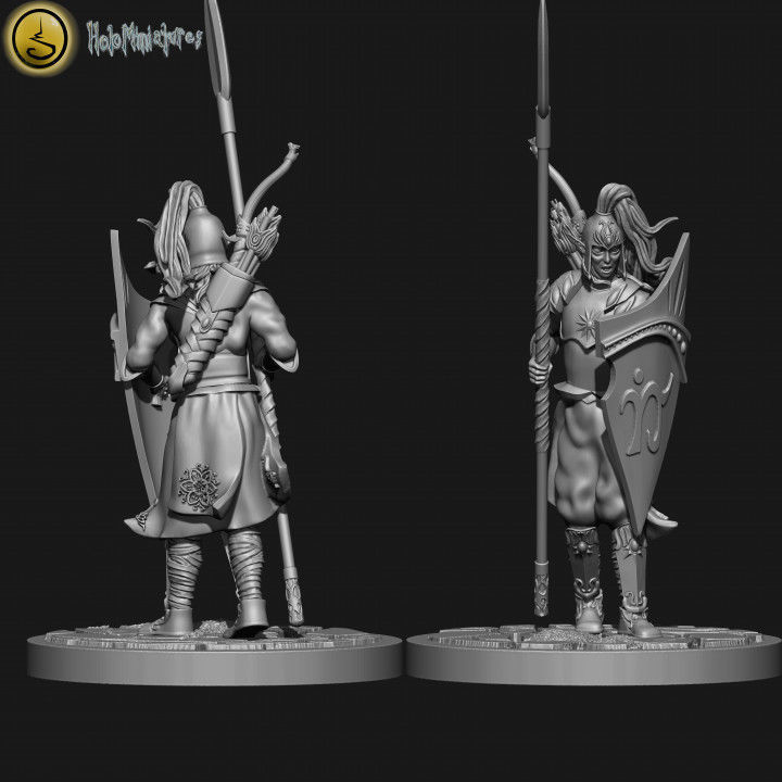 Highborn elves spearmen and sea guard unit 3D print model_5