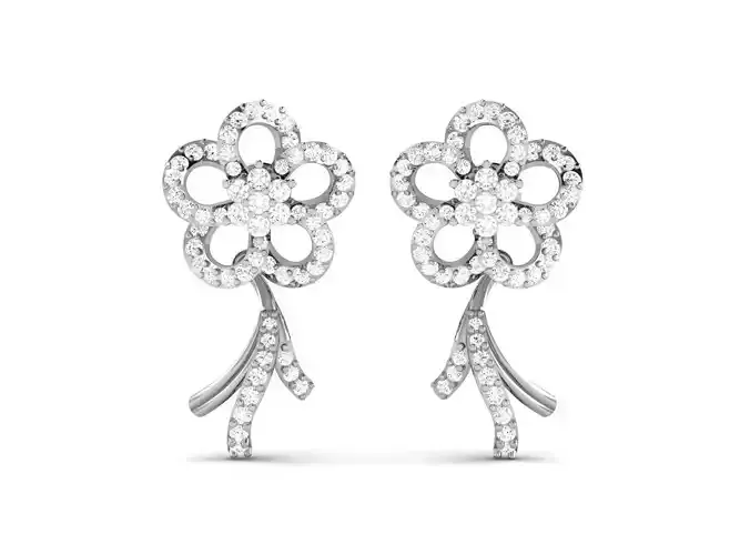 Earrings - 71