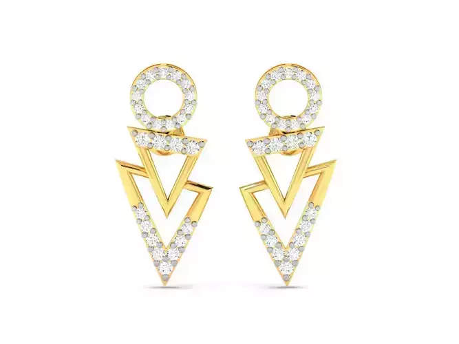 Earrings - 46