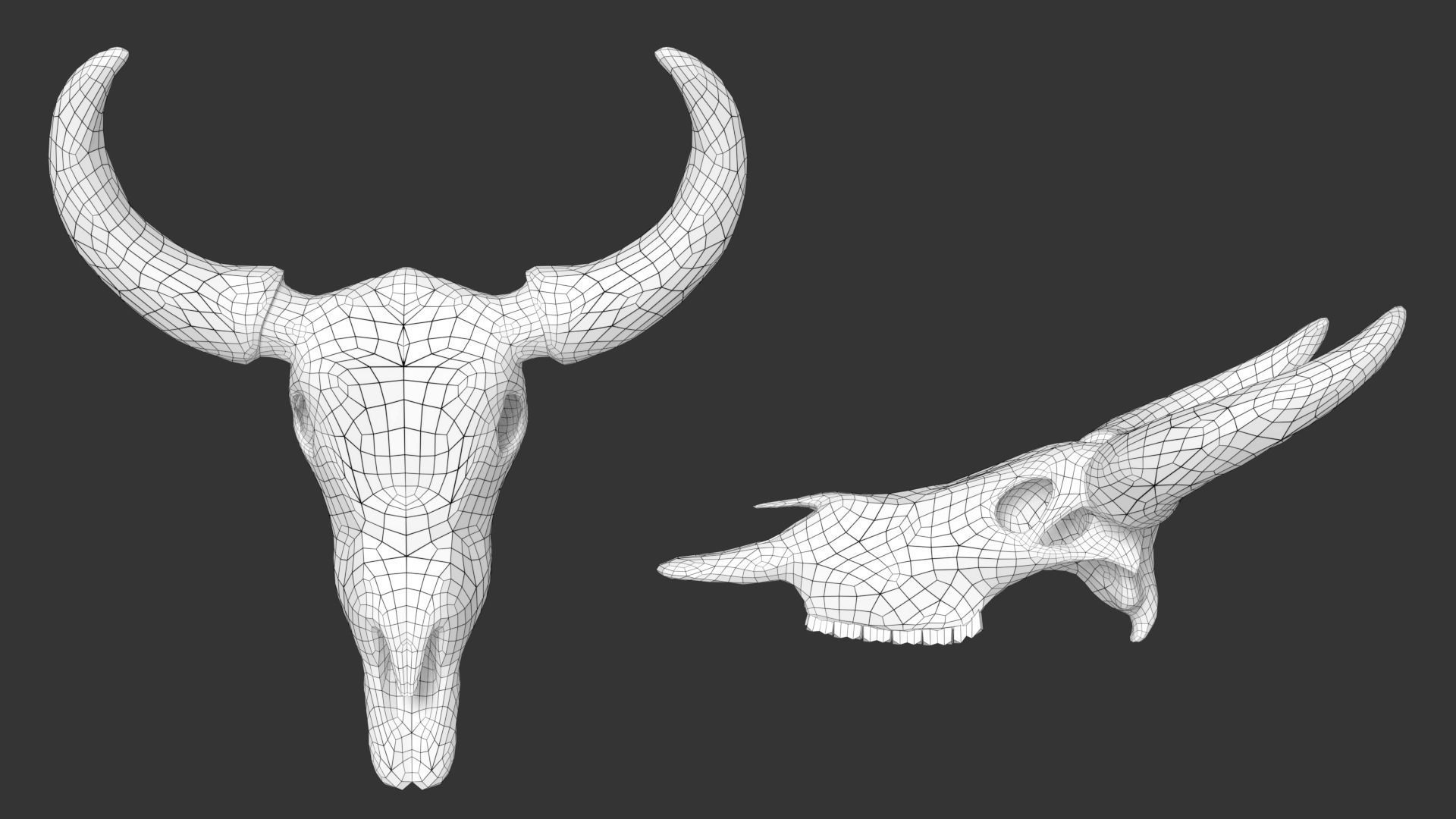 Ox skull Low-poly 3D model_6
