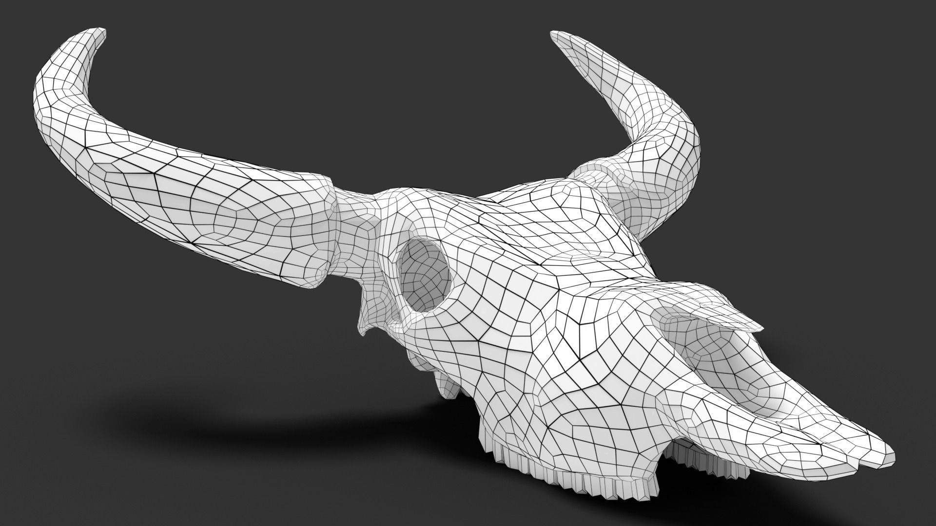 Ox skull Low-poly 3D model_7