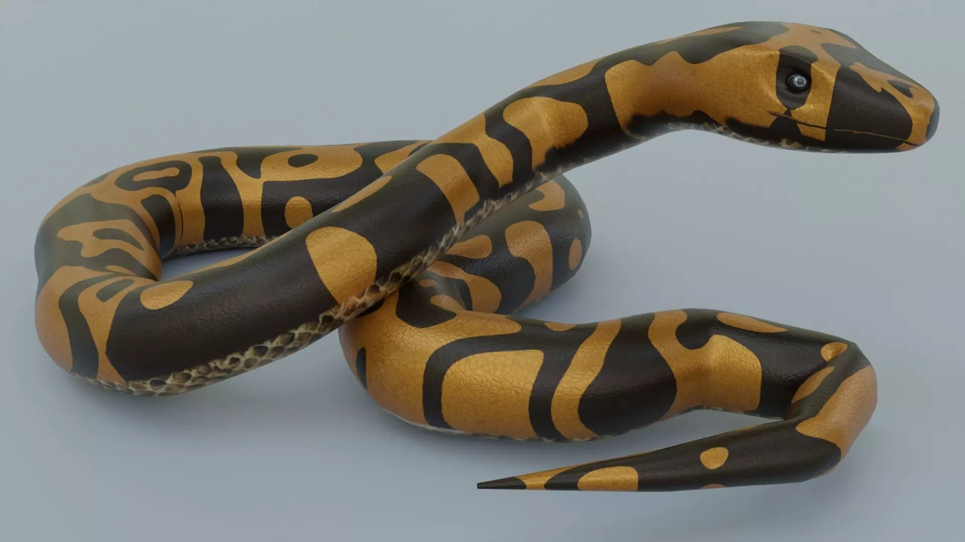 Python Snake - Rigged - Game Ready - PBR Low-poly 3D model_0