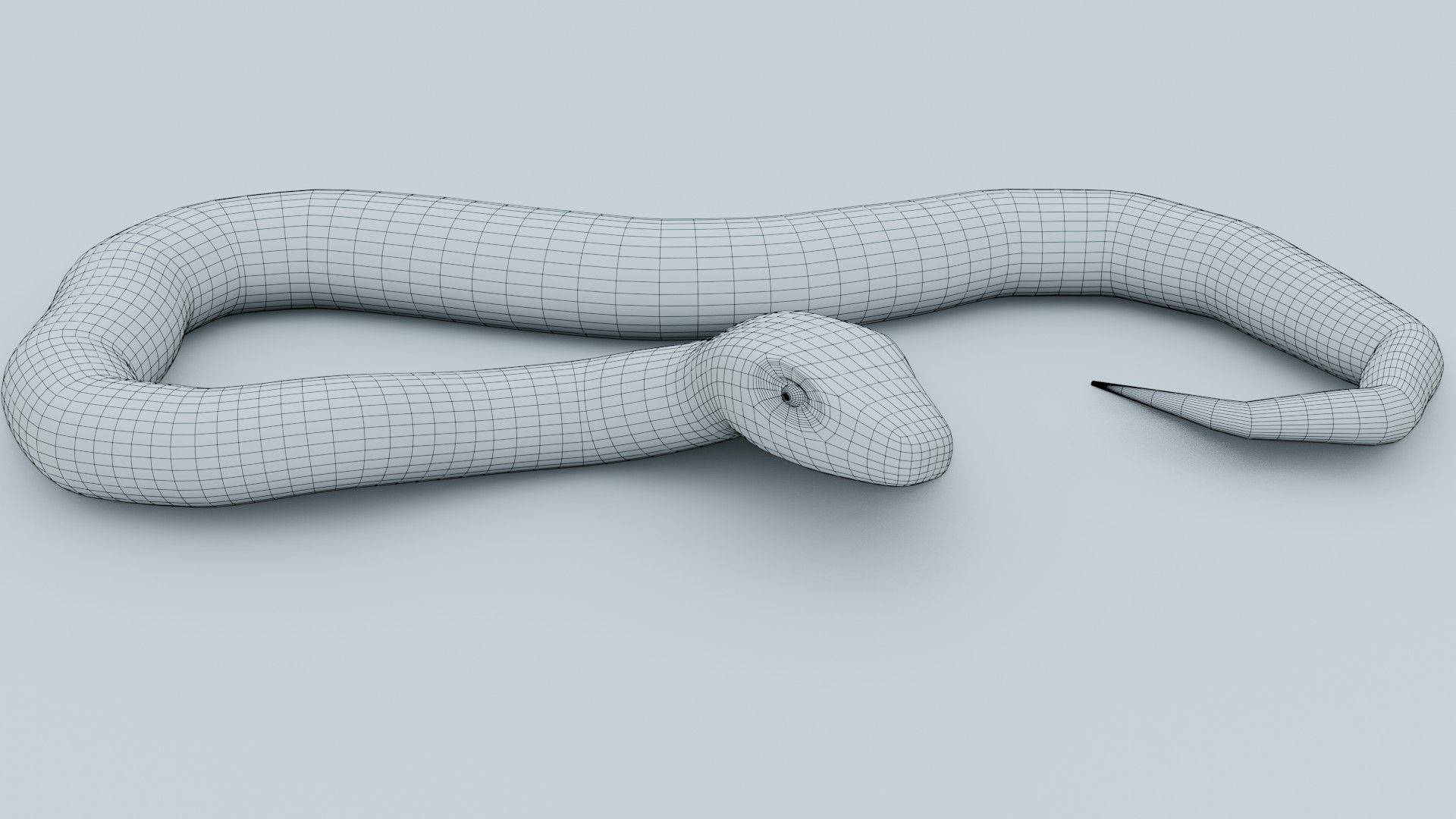 Python Snake - Rigged - Game Ready - PBR Low-poly 3D model_10
