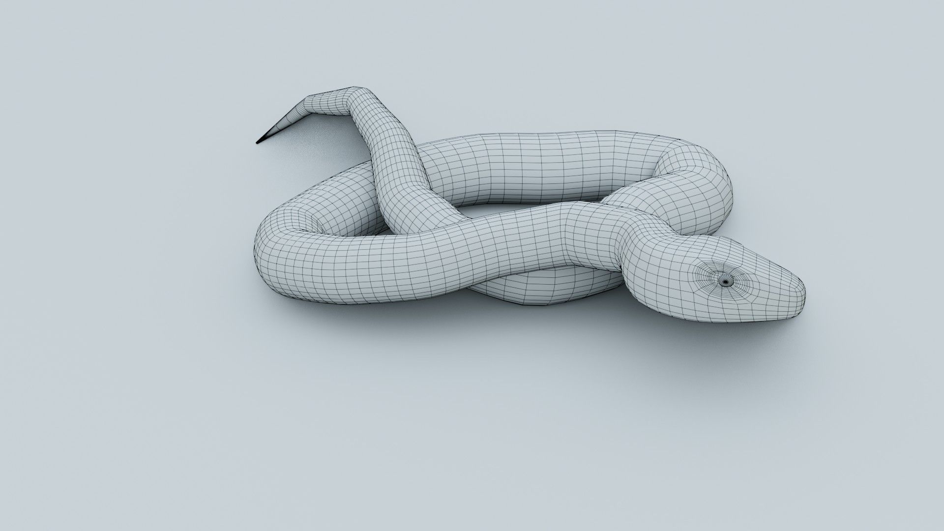 Python Snake - Rigged - Game Ready - PBR Low-poly 3D model_11