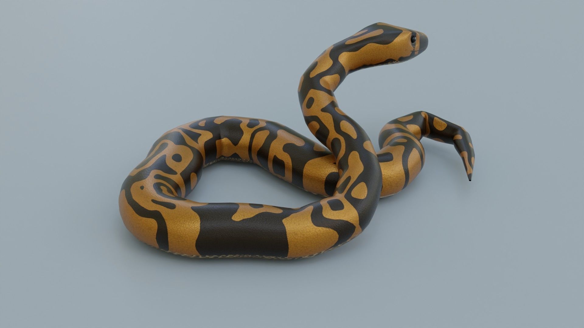 Python Snake - Rigged - Game Ready - PBR Low-poly 3D model_6