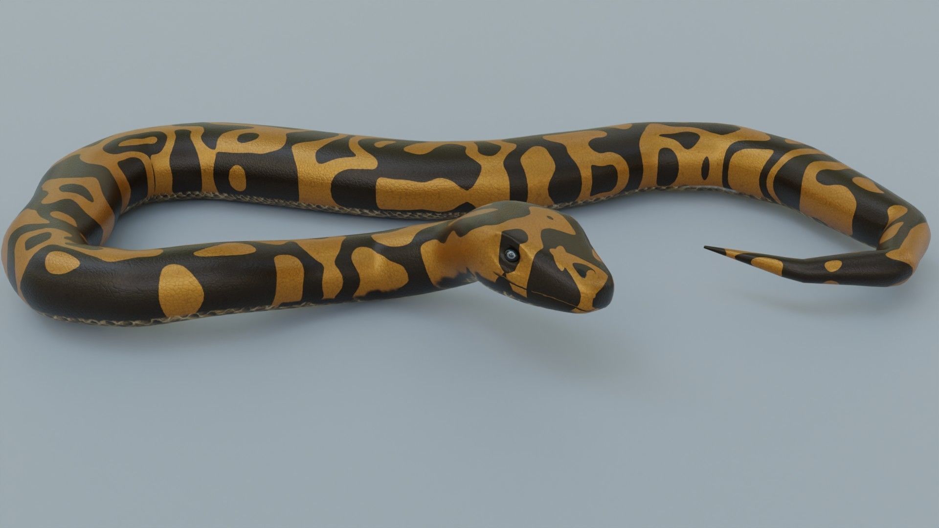 Python Snake - Rigged - Game Ready - PBR Low-poly 3D model_4