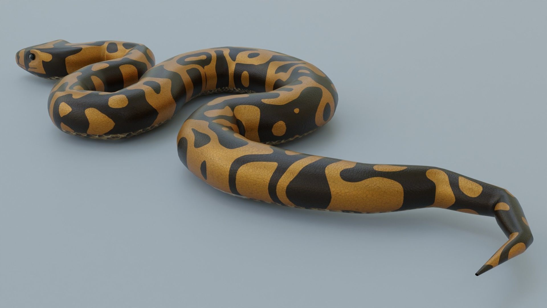Python Snake - Rigged - Game Ready - PBR Low-poly 3D model_3