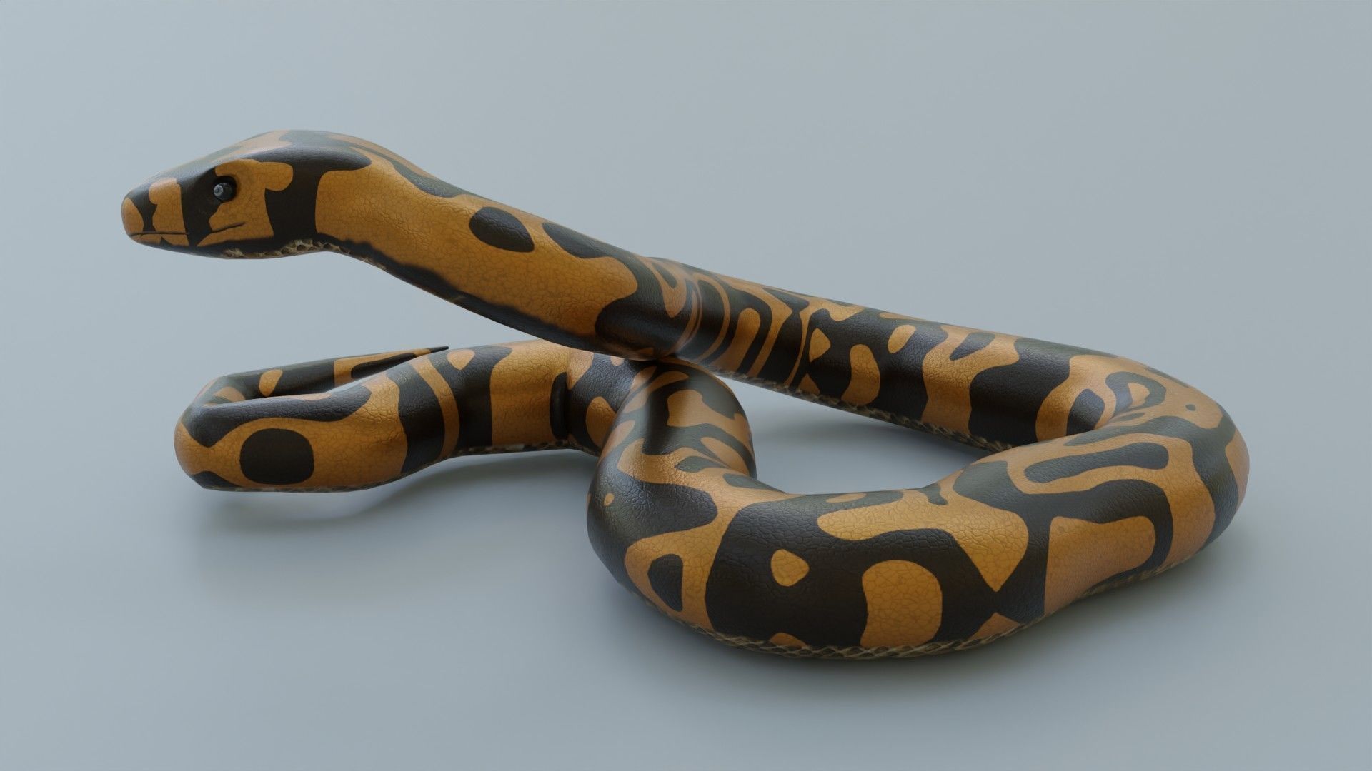 Python Snake - Rigged - Game Ready - PBR Low-poly 3D model_2