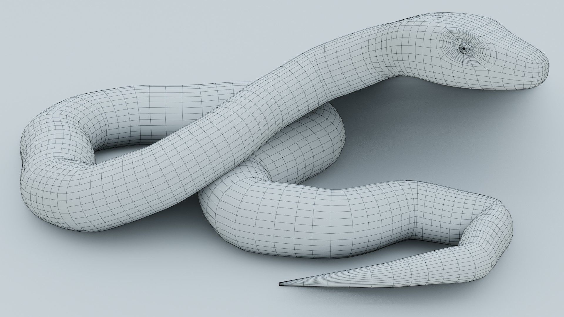 Python Snake - Rigged - Game Ready - PBR Low-poly 3D model_7