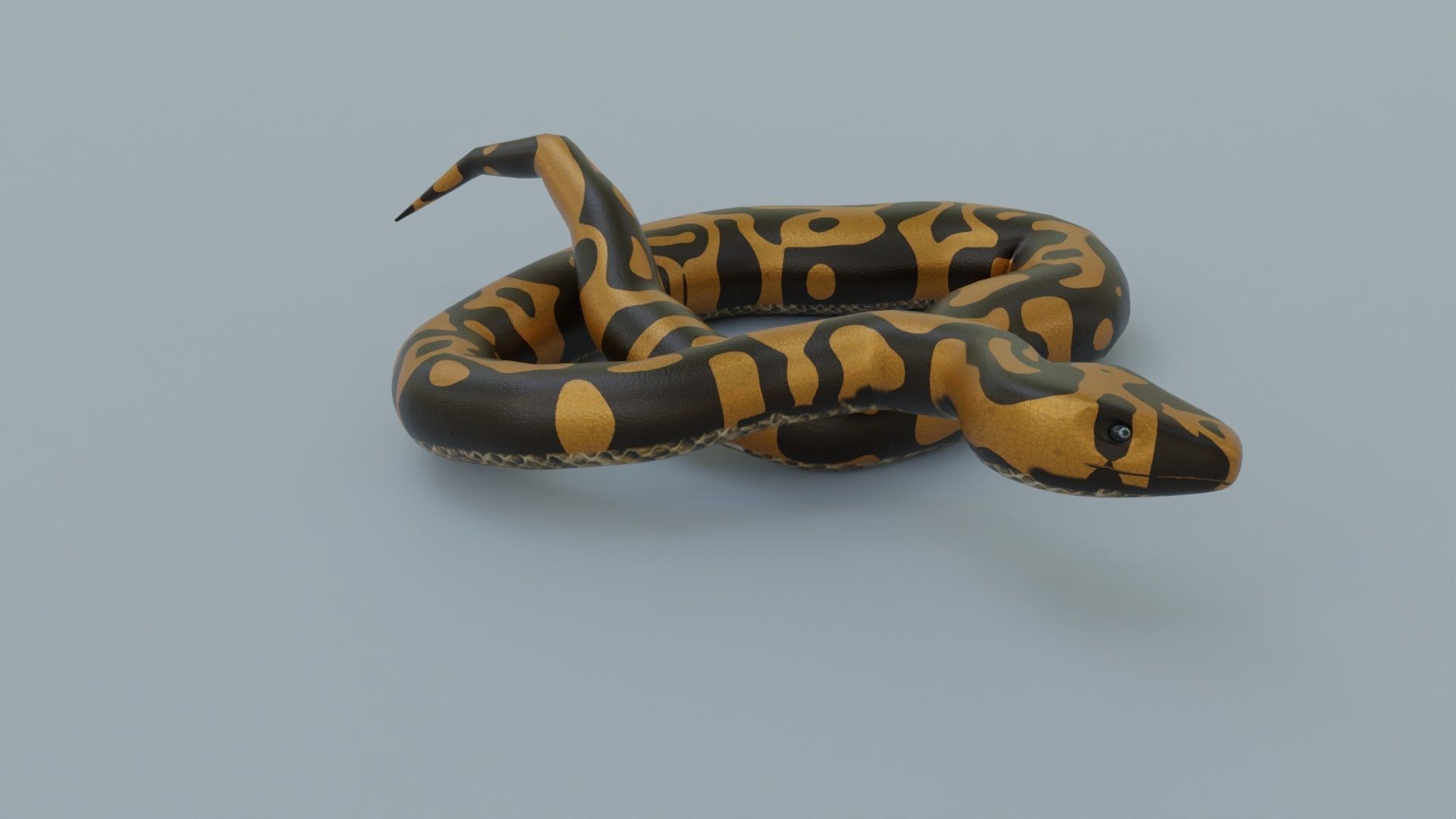 Python Snake - Rigged - Game Ready - PBR Low-poly 3D model_5