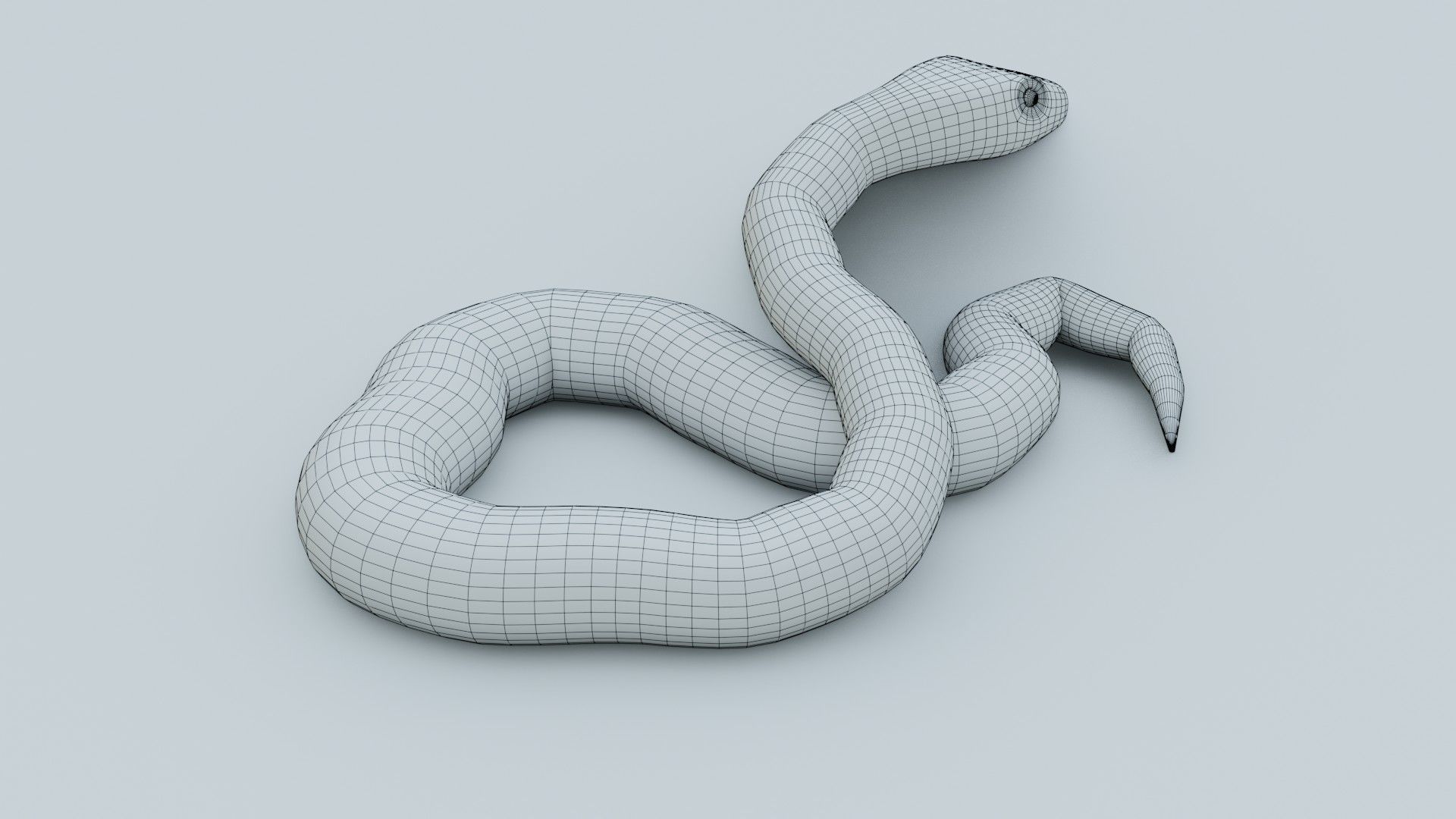 Python Snake - Rigged - Game Ready - PBR Low-poly 3D model_12