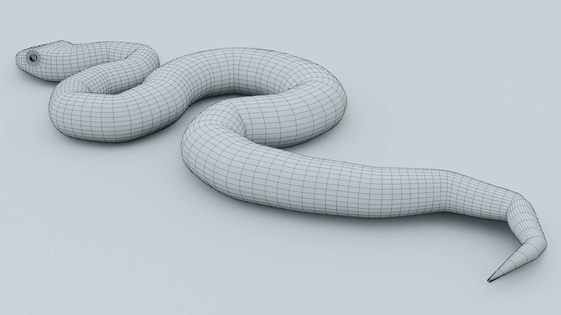 Python Snake - Rigged - Game Ready - PBR Low-poly 3D model_9