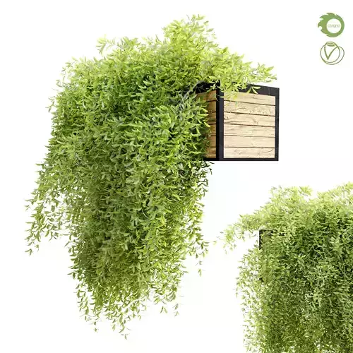 Hanging plant 7 3D model