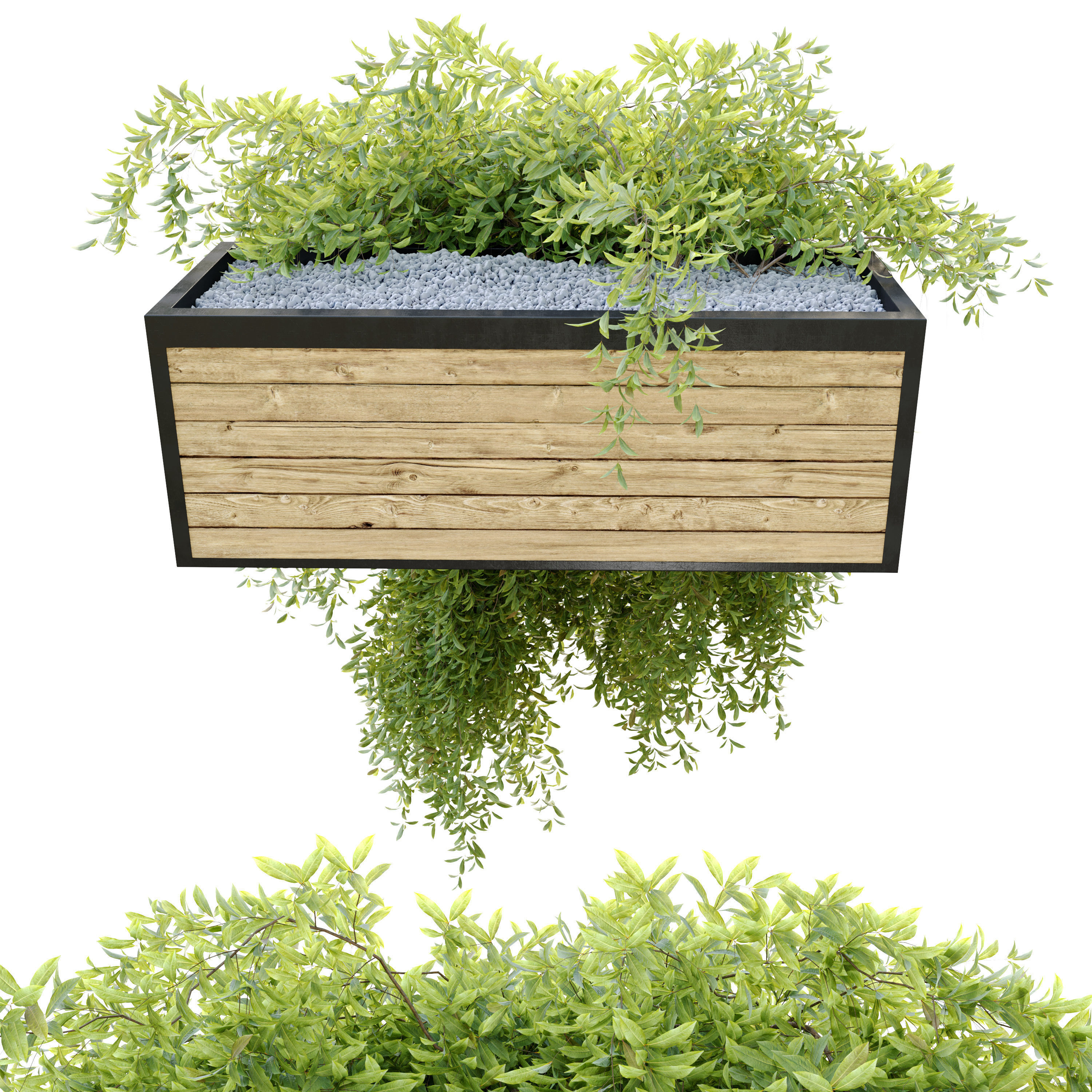 Hanging plant 7 3D model_1