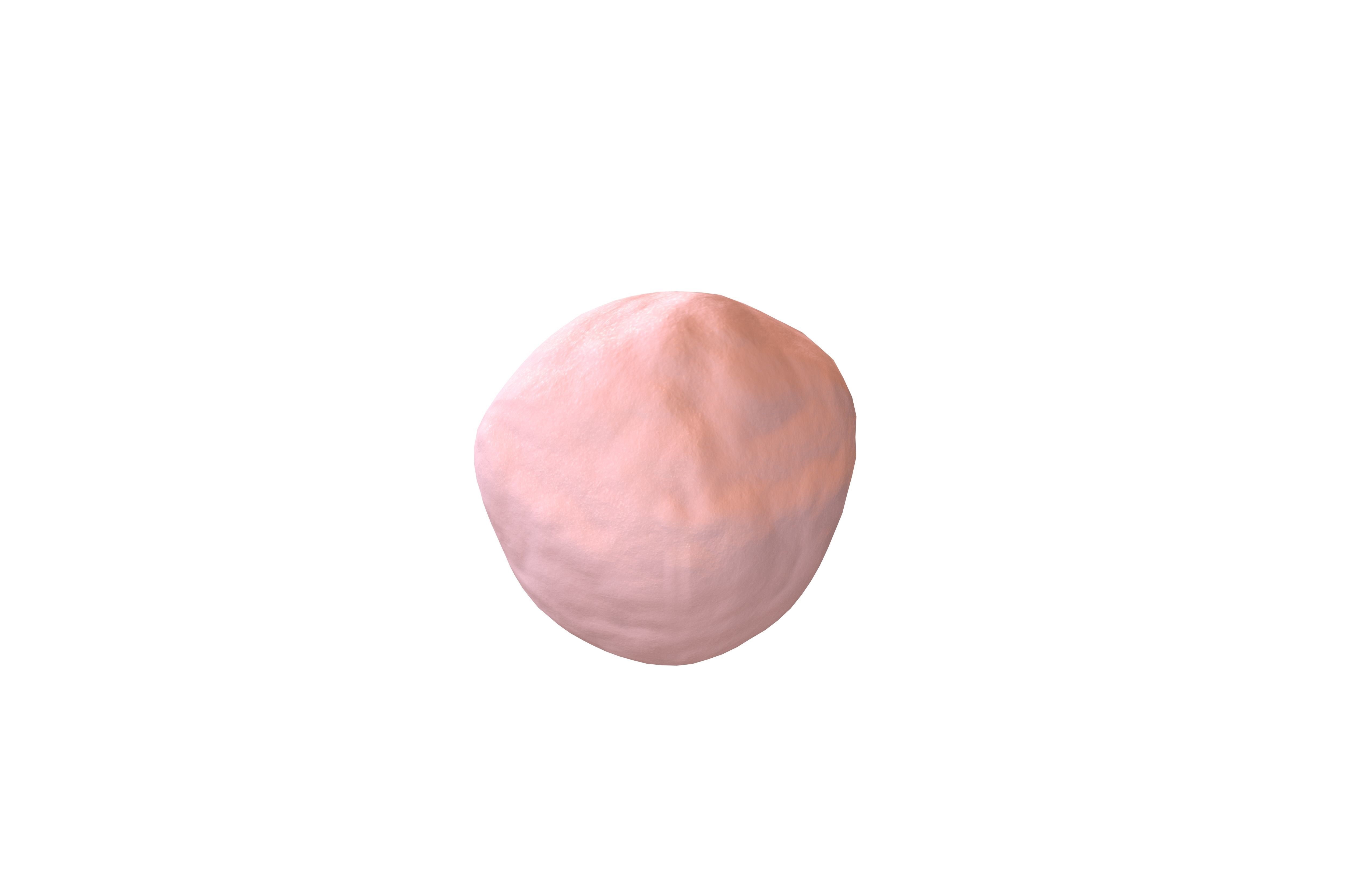 Snowball v1 005 Low-poly 3D model_3
