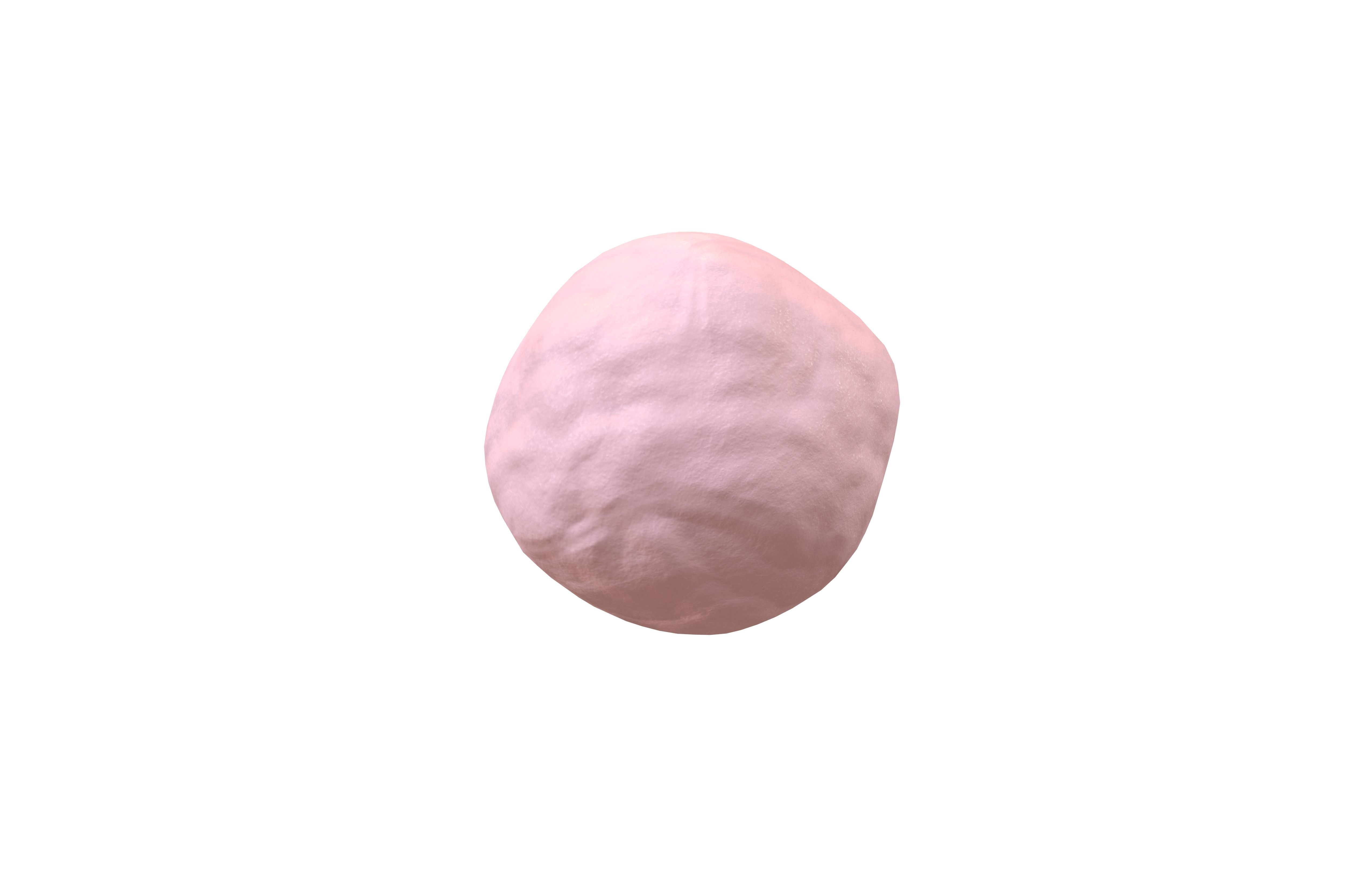 Snowball v1 005 Low-poly 3D model_2