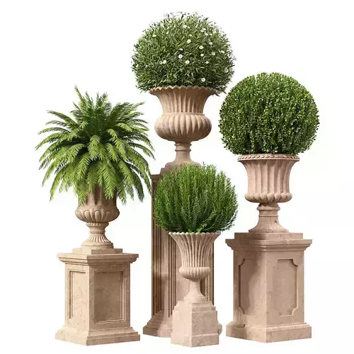 Set of Plants in Classic Urns and Pedestals