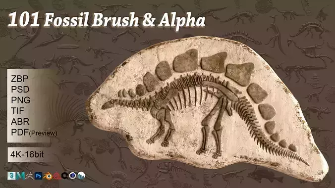 101 Fossil brush and alpha 3D model