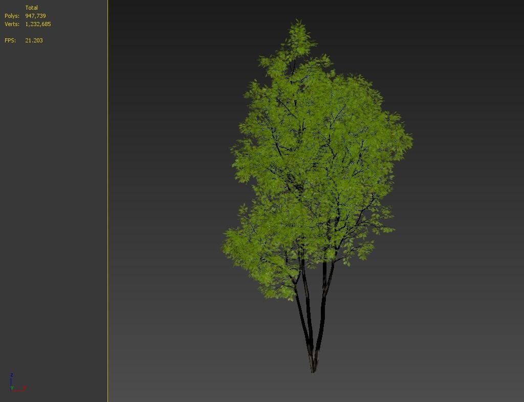 Summit green ash  3D model_7