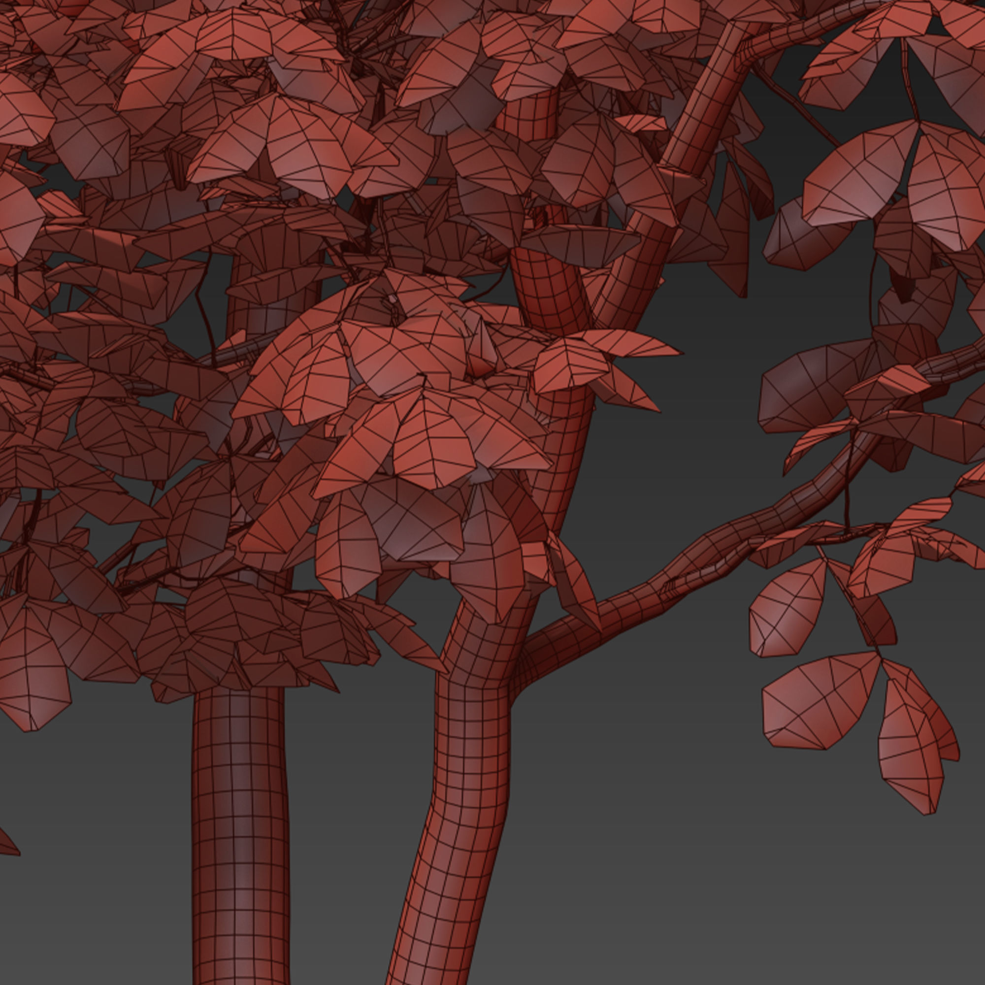 Summit green ash  3D model_6