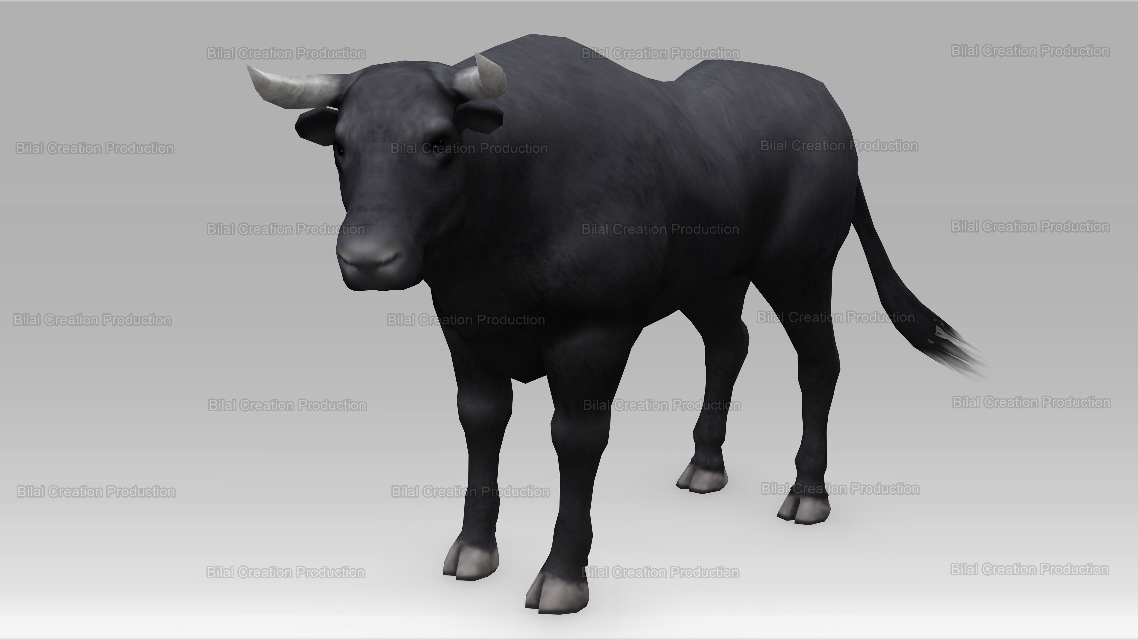BULL ANIMATED Low-poly 3D model_13