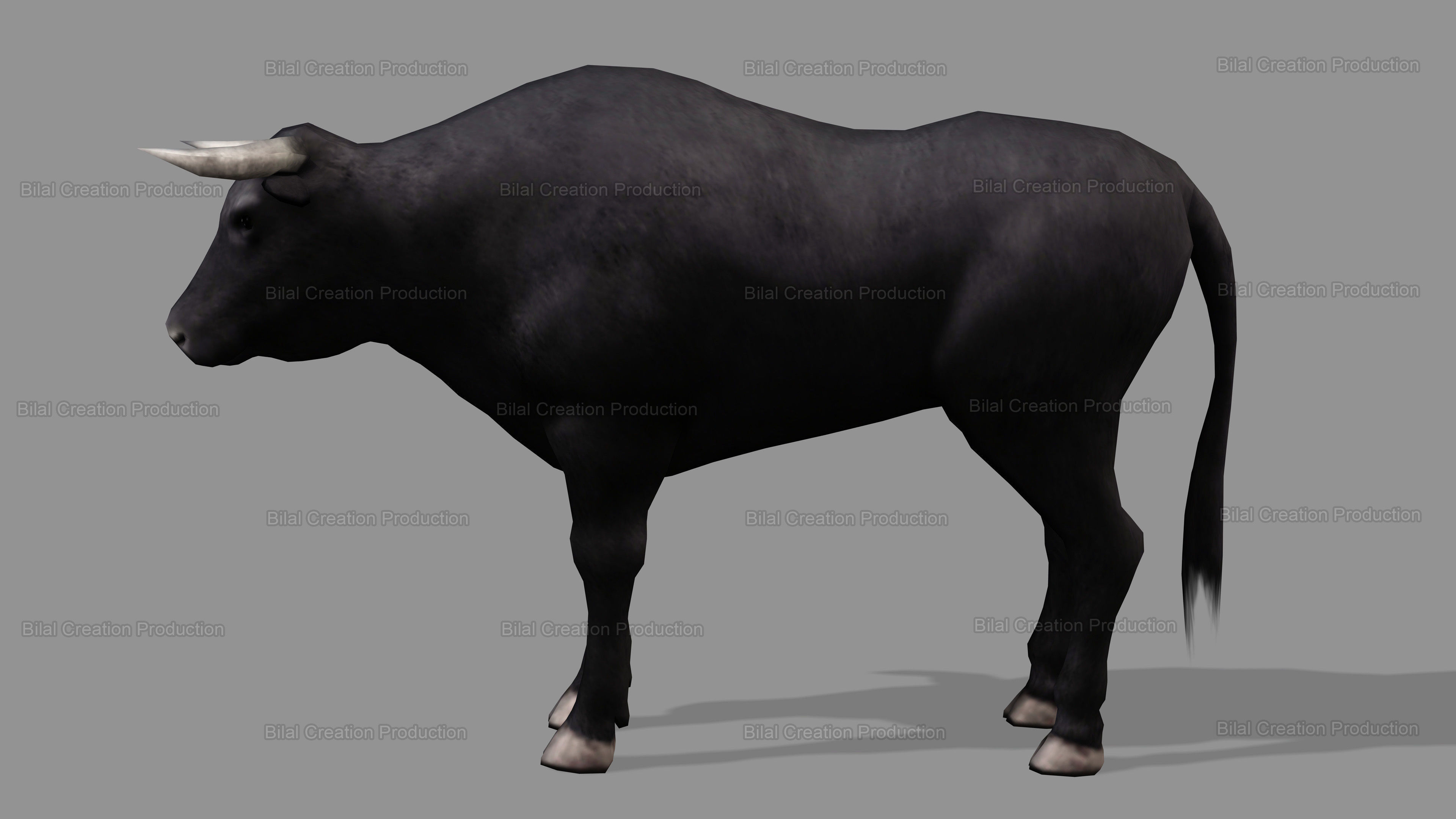 BULL ANIMATED Low-poly 3D model_5