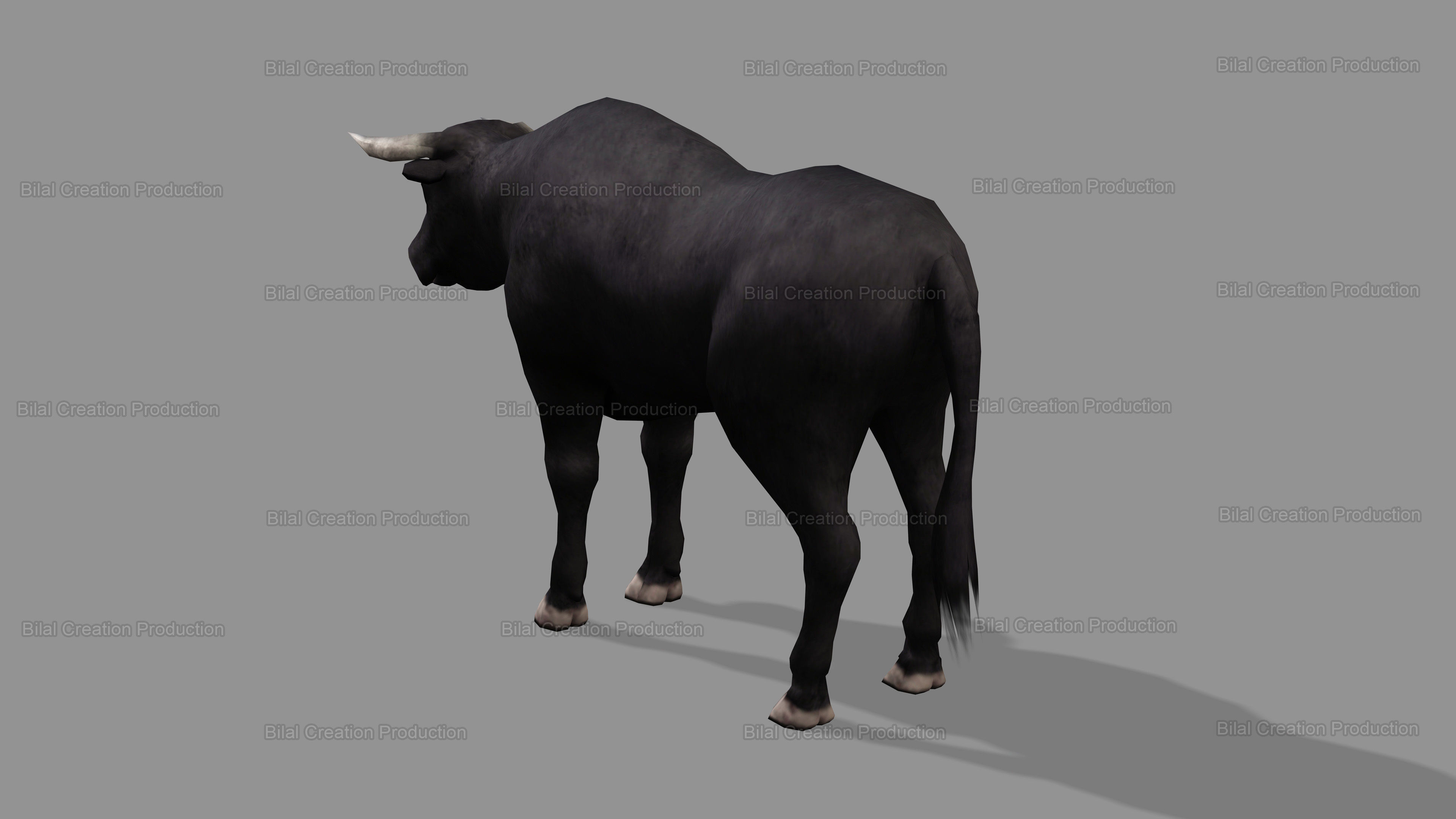 BULL ANIMATED Low-poly 3D model_6