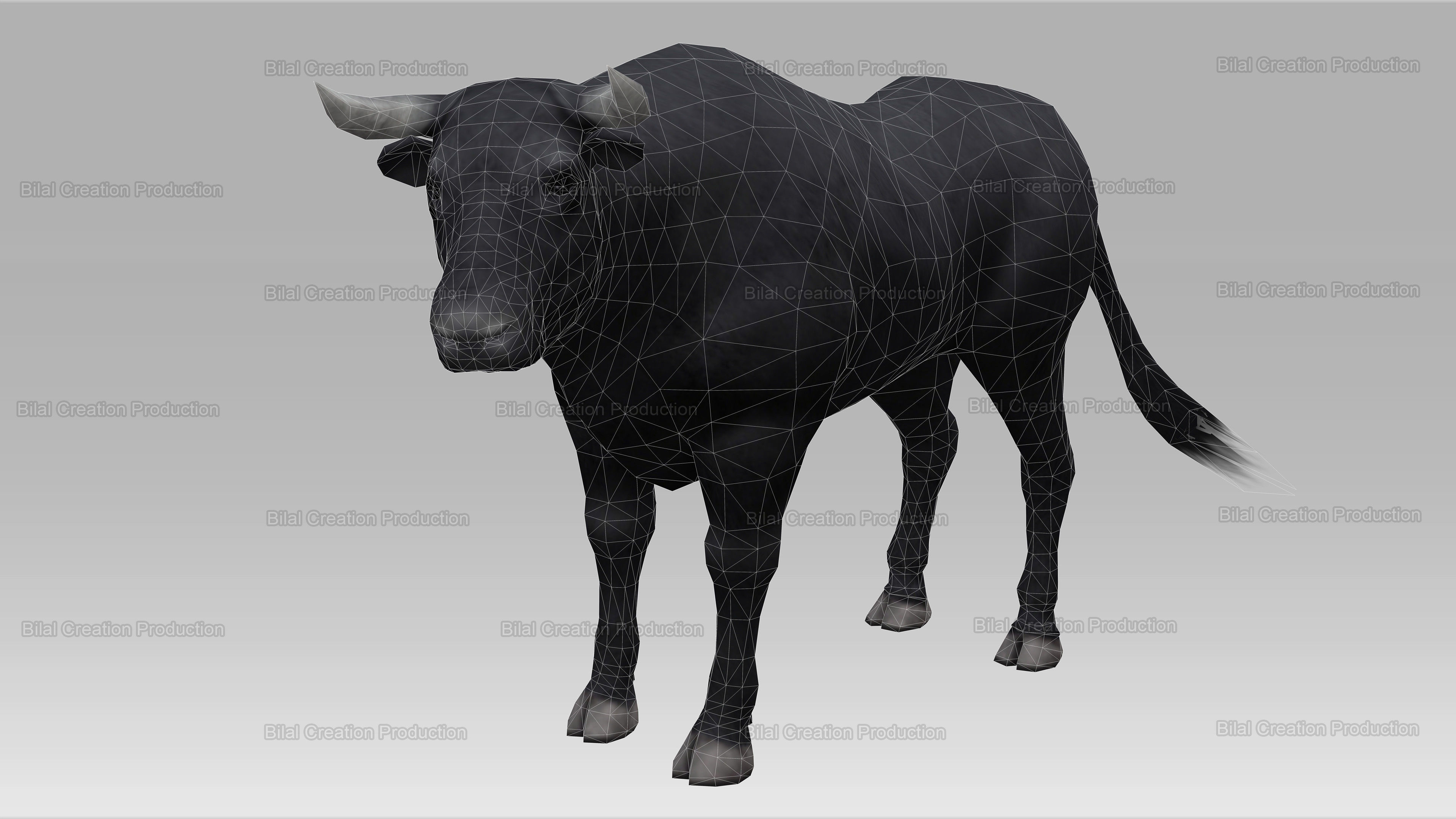 BULL ANIMATED Low-poly 3D model_15