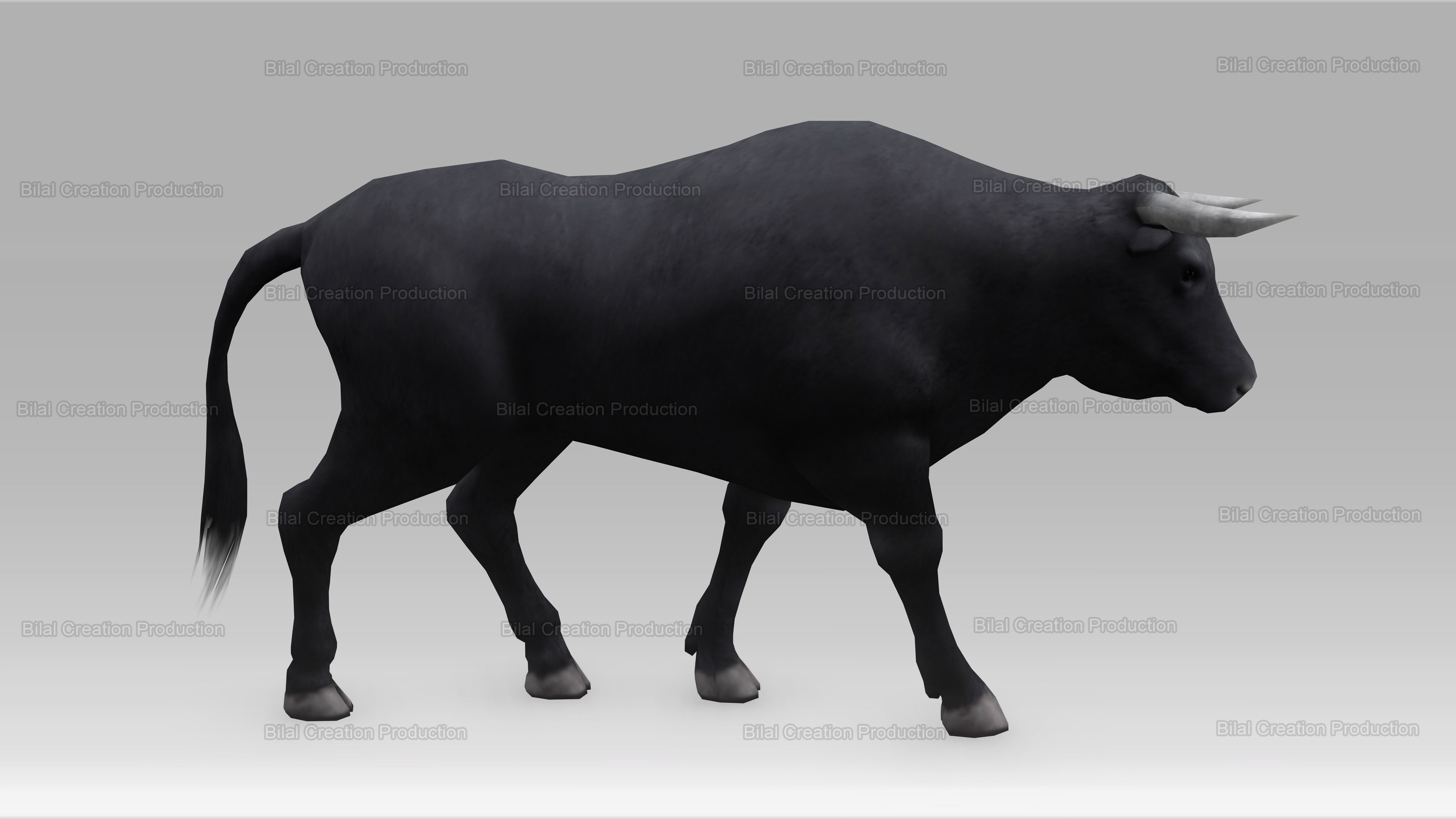 BULL ANIMATED Low-poly 3D model_11