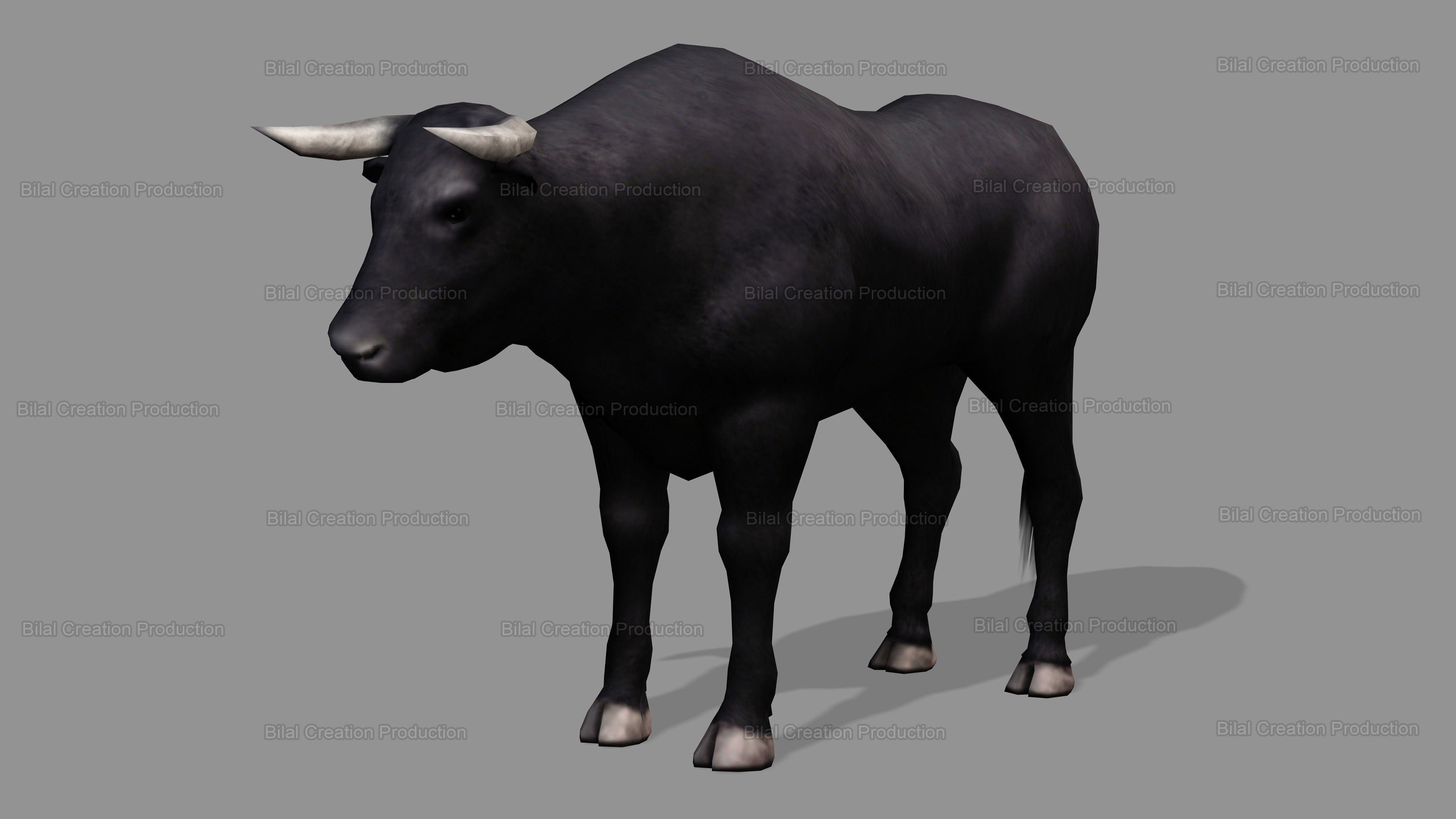 BULL ANIMATED Low-poly 3D model_2