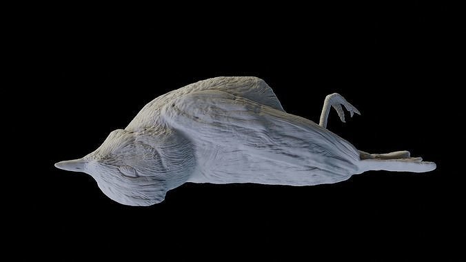 3D printable sculpture of a dead bird 3D print model