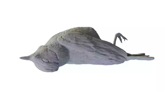 3D printable sculpture of a dead bird