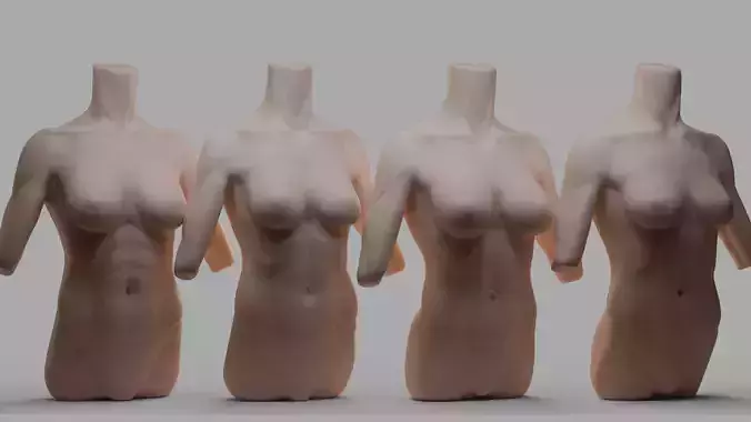 Female Torso