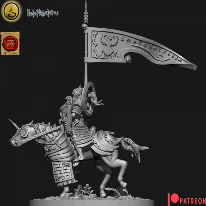 Highborn elves Highborn lancers rings optional 3D print model_7