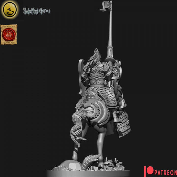 Highborn elves Highborn lancers rings optional 3D print model_1
