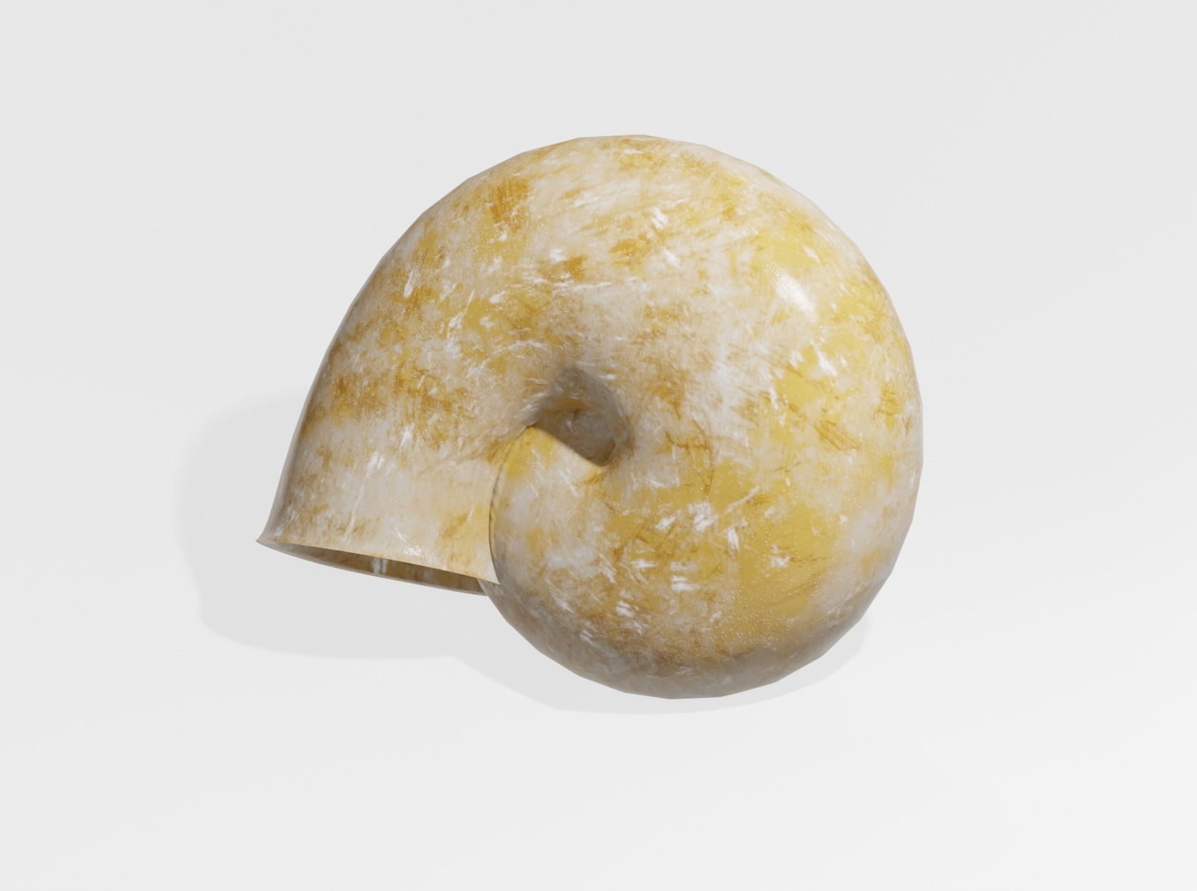 SNAIL SHELL 3D model_6