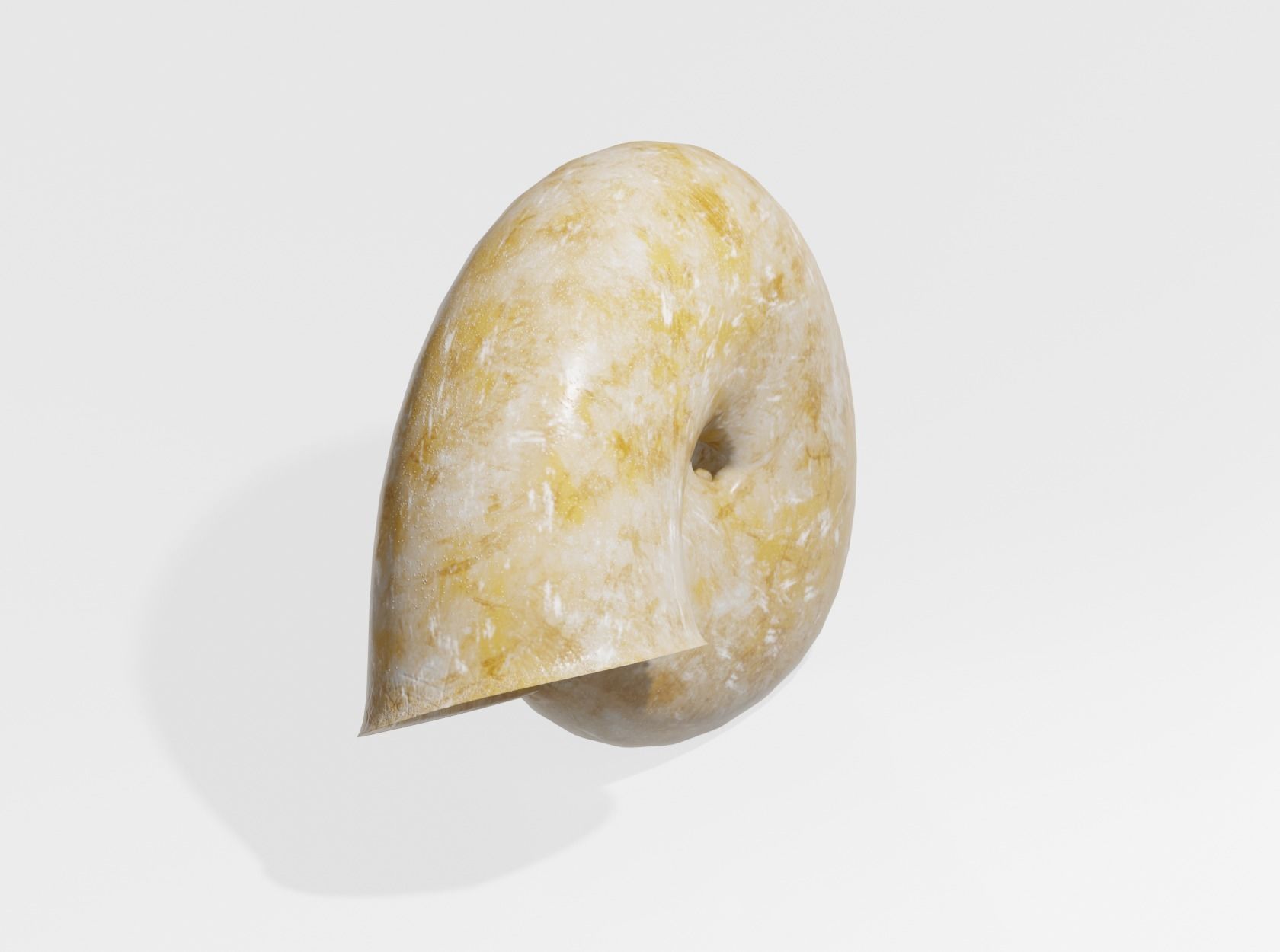 SNAIL SHELL 3D model_4