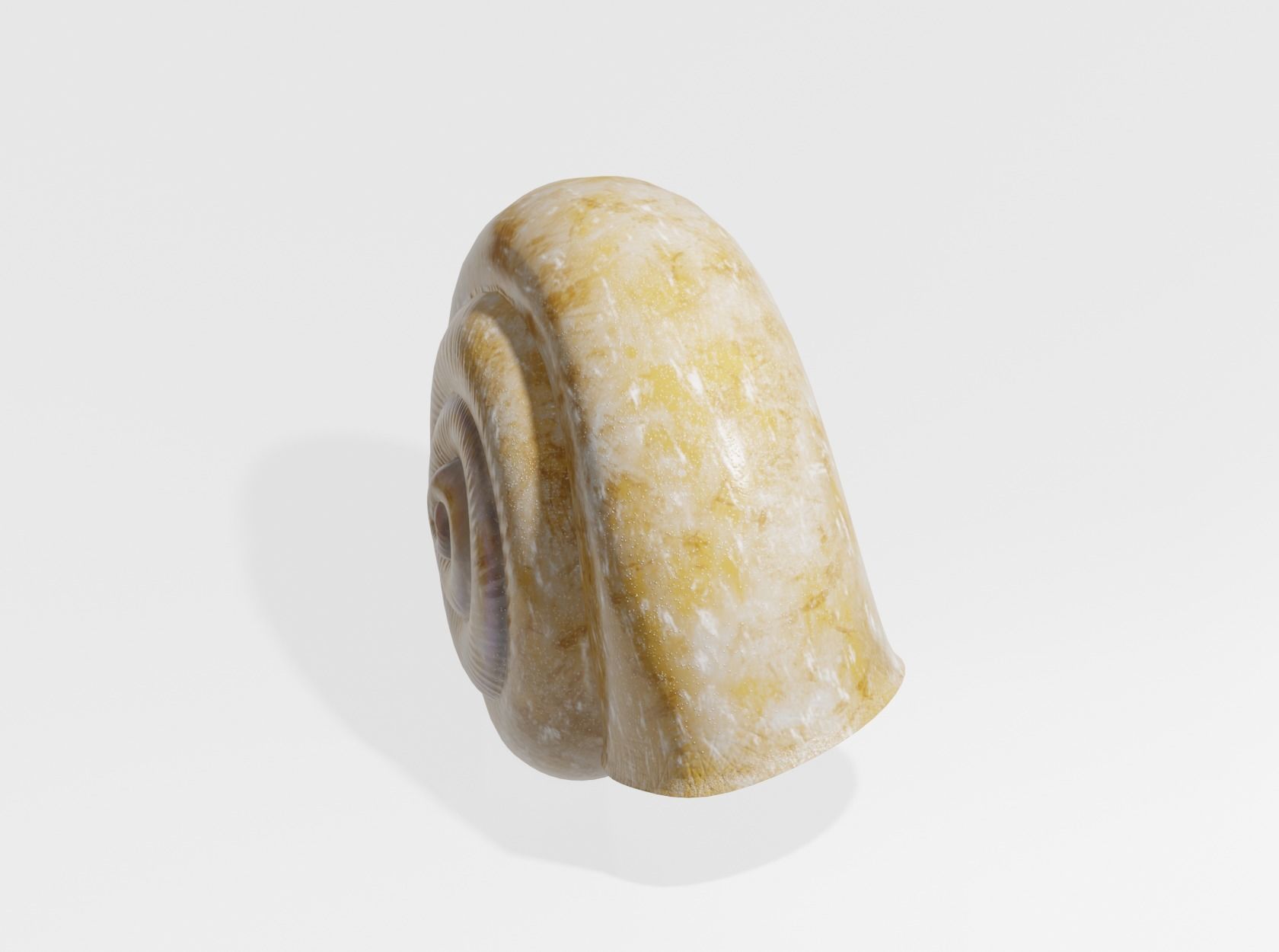 SNAIL SHELL 3D model_3