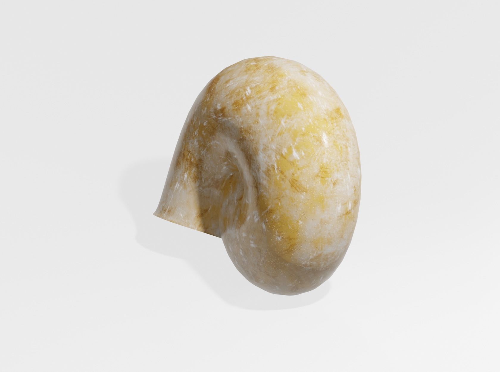 SNAIL SHELL 3D model_7