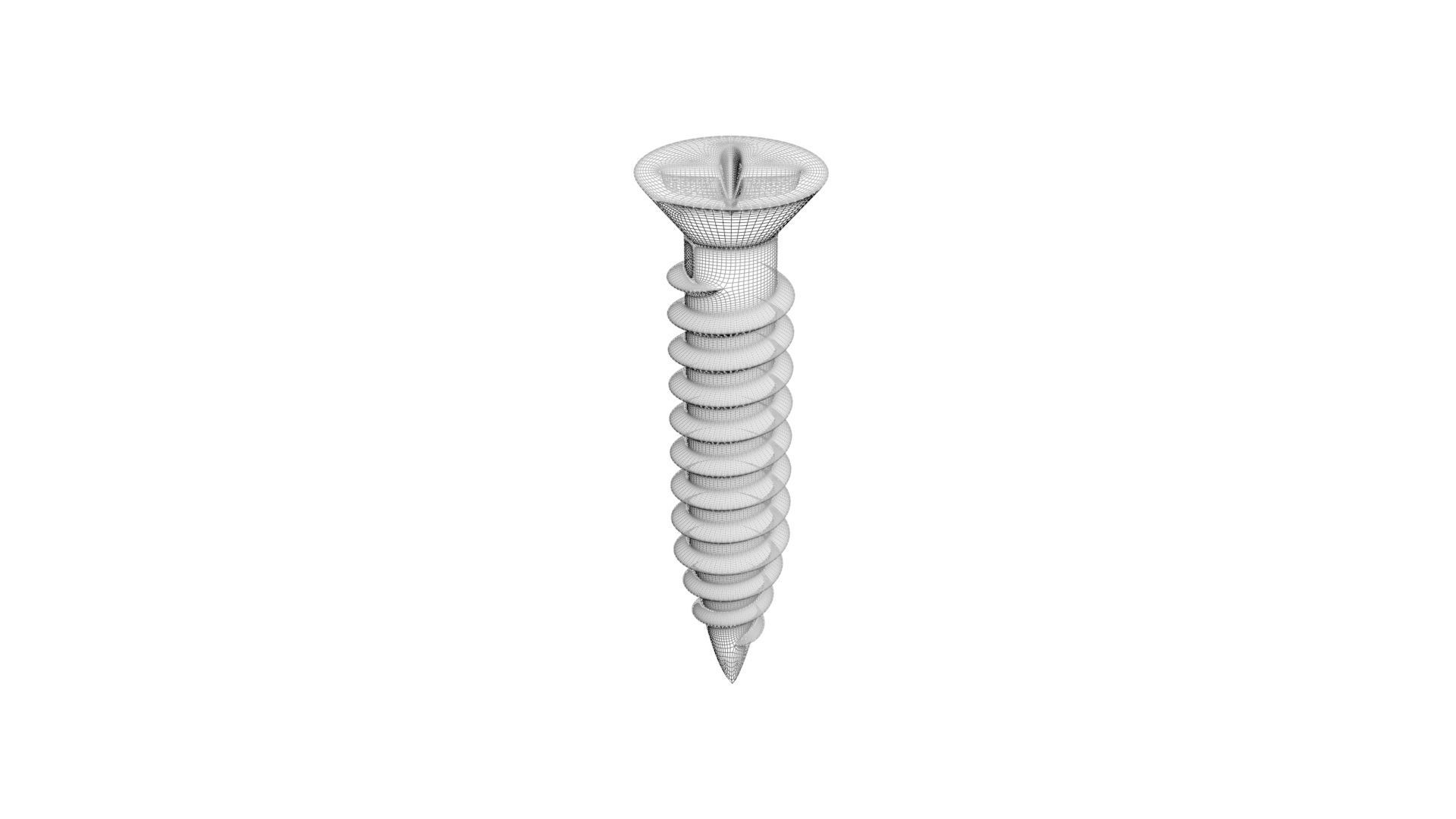 Screws 3D model_16