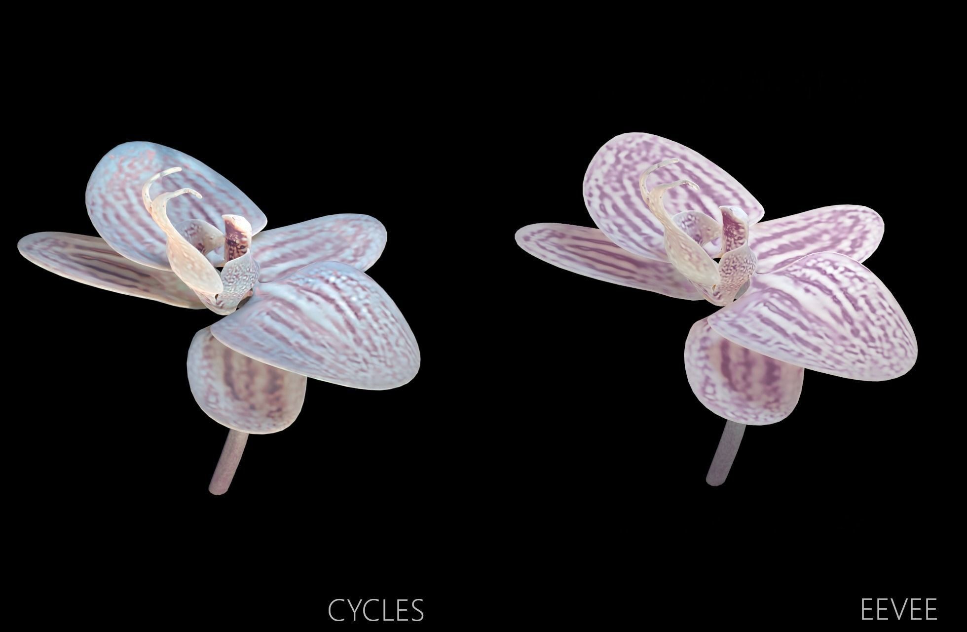 Moth Orchids - Phalaenopsis Low-poly 3D model_6